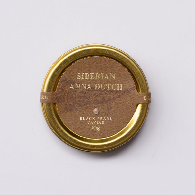 Anna Dutch - Siberian