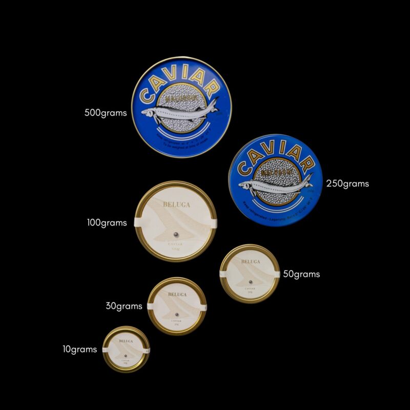 Black Pearl - Beluga - Image 2