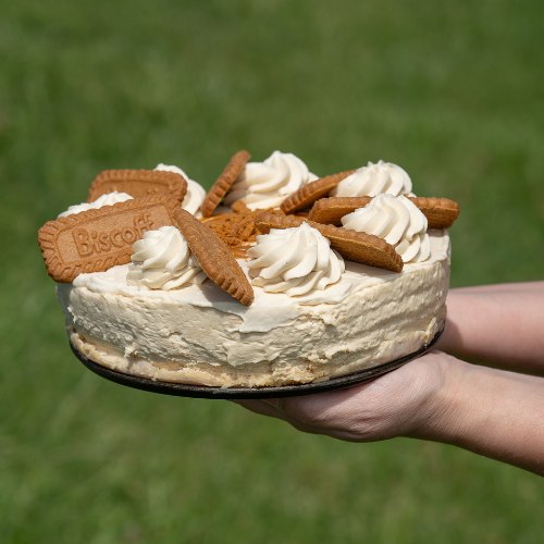 Tully's Biscoff Cheesecake